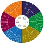 Project Appraisal & Impact Evaluation